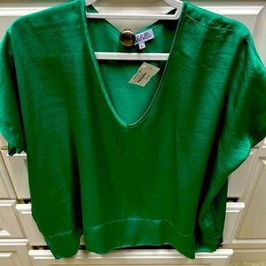 Perfect for St Patrick’s Day!! Emerald green V neck top